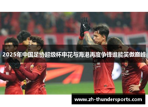 2025年中国足协超级杯申花与海港再度争锋谁能笑傲巅峰