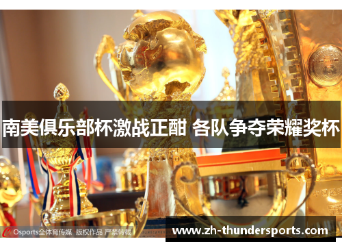 南美俱乐部杯激战正酣 各队争夺荣耀奖杯 南美俱乐部杯激战正酣 各队争夺荣耀奖杯